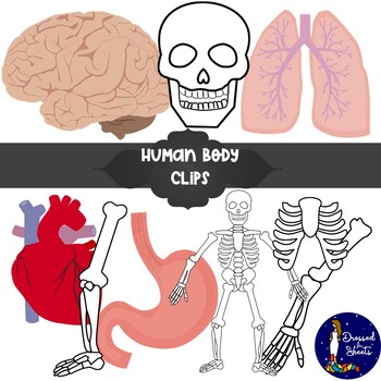 Preview of Human Body Clipart