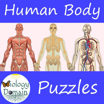 Preview of Human Body Crossword and Word Search