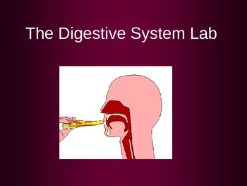 Preview of Human Body DIGESTIVE SYSTEM - Fun and Gross Lab