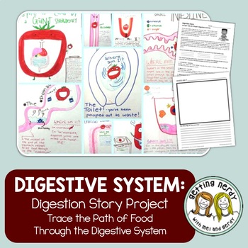 Preview of Digestive System - Digestion Story Project