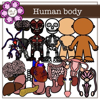 Preview of Human Body Digital Clipart (color and black&white)