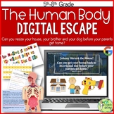 Human Body Escape Room, Biology, Anatomy, Digital Escape Ⓡ