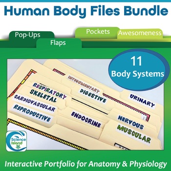 Preview of Human Body Files Bundle - Anatomy and Physiology Activities