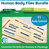 Human Body Files Bundle - Anatomy and Physiology Activities