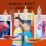 Human Body Flashcards, Biology flashcards.