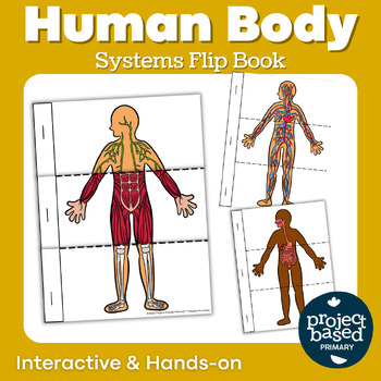 Preview of Human Body Flip Book