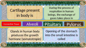 Preview of Human Body Game - 640 Questions