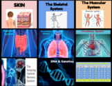 Human Body, Genetics & DNA, and Human Body Game Bundle