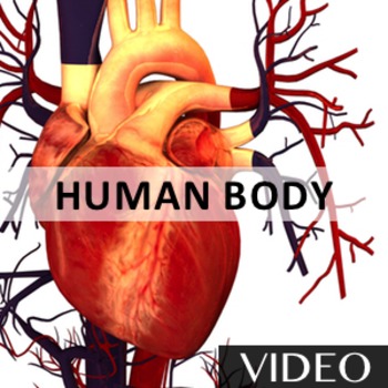Preview of Human Body - Human Anatomy and Organs Rap Video [3:11]