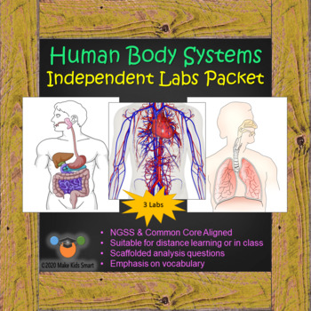 Preview of Human Body - Independent Labs - Pack of 3 (distance or in class)