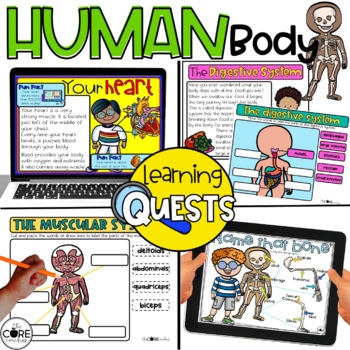 Preview of Human Body Independent Work - Skeletal, Circulatory, Digestive, Muscular Systems