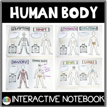 Preview of Human Body Systems- Interactive Notebook