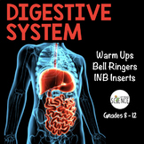 Human Body Warm Ups, Bell Ringers: Digestive System