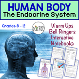Human Body Warm Ups, Bell Ringers: Endocrine System