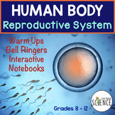 Human Body Warm Ups, Bell Ringers: Reproductive System
