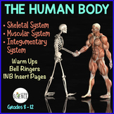 Human Body Warm Ups, Bell Ringers: Skeletal, Muscular, Int