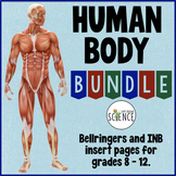 Human Body Bundle: Anatomy and Physiology Warm Ups and Bel