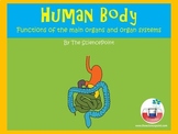 Human Body: Introduction to Organs and Organ Systems