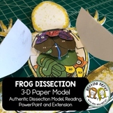 Frog Dissection Lesson & Model - 3D Paper Scienstructable 