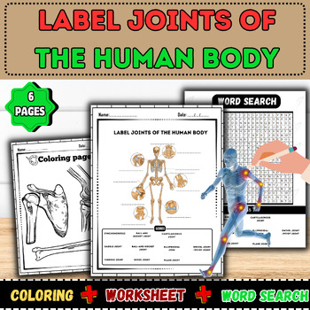 Preview of Human Body Joints Exploration Kit: Word Search, Labeling, Worksheet, Coloring Pa