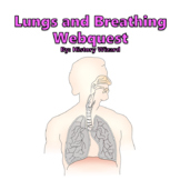 Human Body: Lungs and Breathing Webquest