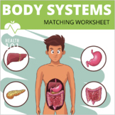 Human Body Systems Matching Worksheet- Digestive System, R