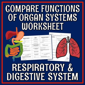 Preview of Human Body Organ Systems Worksheet Compare Digestive Respiratory Systems
