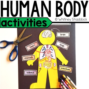 Preview of The Human Body Organs Activities, Project, & Craft for 1st Grade Science Lessons
