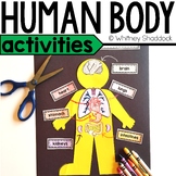 The Human Body Organs Activities, Project, & Craft for 1st