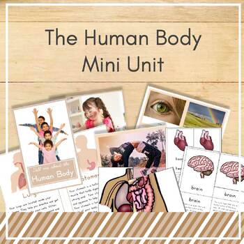 Preview of Human Body Mini Unit