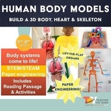 Human Body Models Bundle