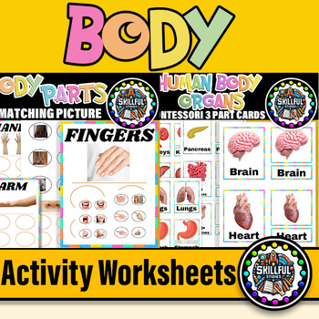Preview of Human Body Montessori 3 Part Cards | Body Parts Non-Identical Matching Picture