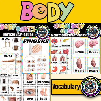 Preview of Human Body Montessori 3 Part Cards, Flash Cards & Body Parts  Matching Picture