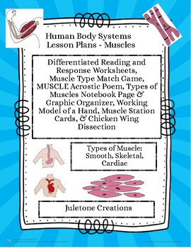 Preview of Distance Learning Human Body Muscles