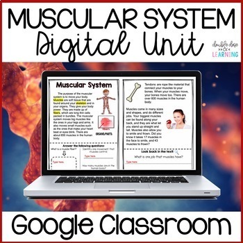 Preview of Human Body: Muscular System Digital Distance Learning GOOGLE Unit