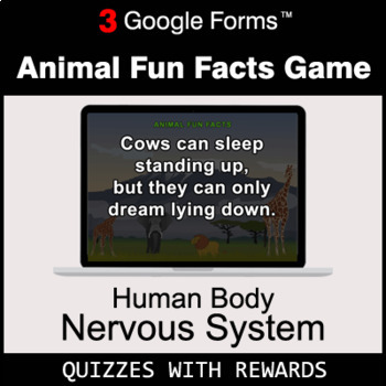Preview of Human Body: Nervous System | Animal Fun Facts Game | Google Forms