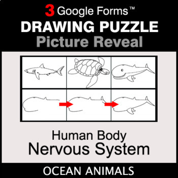 Human Body: Nervous System - Drawing Puzzle, Google Forms