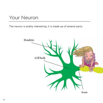 Preview of Human Body Nervous System For Kids: Brainiacs