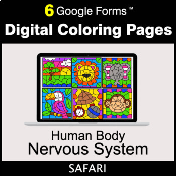 Preview of Human Body: Nervous System - Google Forms | Digital Coloring Pages