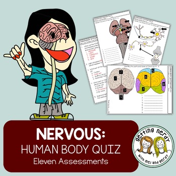 Preview of Human Body - Nervous System Quiz Pack