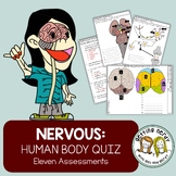 Human Body - Nervous System Quiz Pack