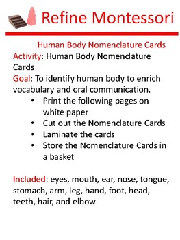 Preview of Human Body Nomenclature Cards