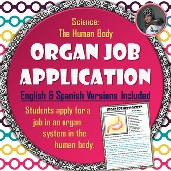 Preview of Human Body Organ Job Application Assignment in English and Spanish