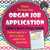 Human Body Organ Job Application Assignment in English and
