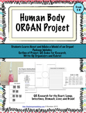 Human Body Organ Project