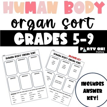 Preview of Human Body Organ Sort-Circulatory Respiratory Digestive Excretory Muscular Nervo