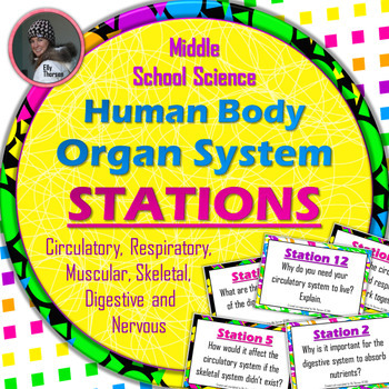 Preview of Human Body Systems Stations
