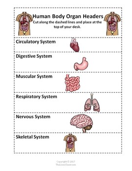 Human Body Organ Systems by The Lions Classroom - - - Sandy | TPT