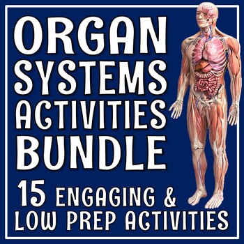 Preview of Human Body Organ Systems Activity Bundle 15 FUN and ENGAGING Activities