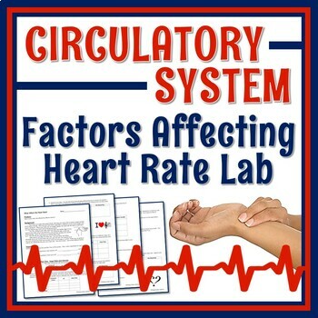 Preview of Human Body Organ Systems Circulatory System Activity Heart Rate Lab
